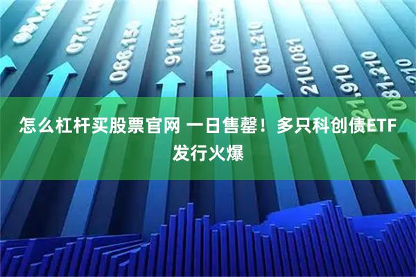怎么杠杆买股票官网 一日售罄！多只科创债ETF发行火爆