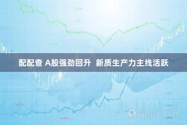 配配查 A股强劲回升  新质生产力主线活跃
