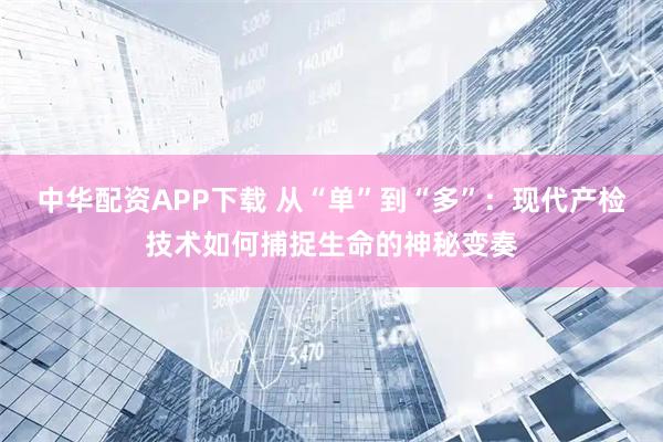 中华配资APP下载 从“单”到“多”：现代产检技术如何捕捉生命的神秘变奏